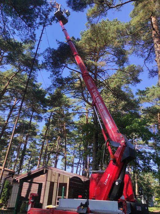 Wycinka drzew  Podnośnik koszowy Zwyżka Mycie dachów