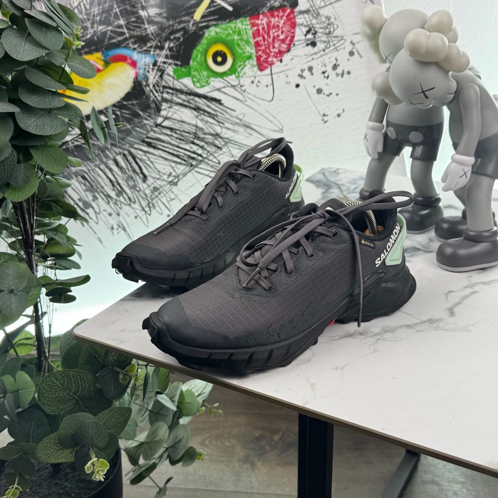 Кросівки Salomon Alphacross Gore Tex 39 розмір 4838