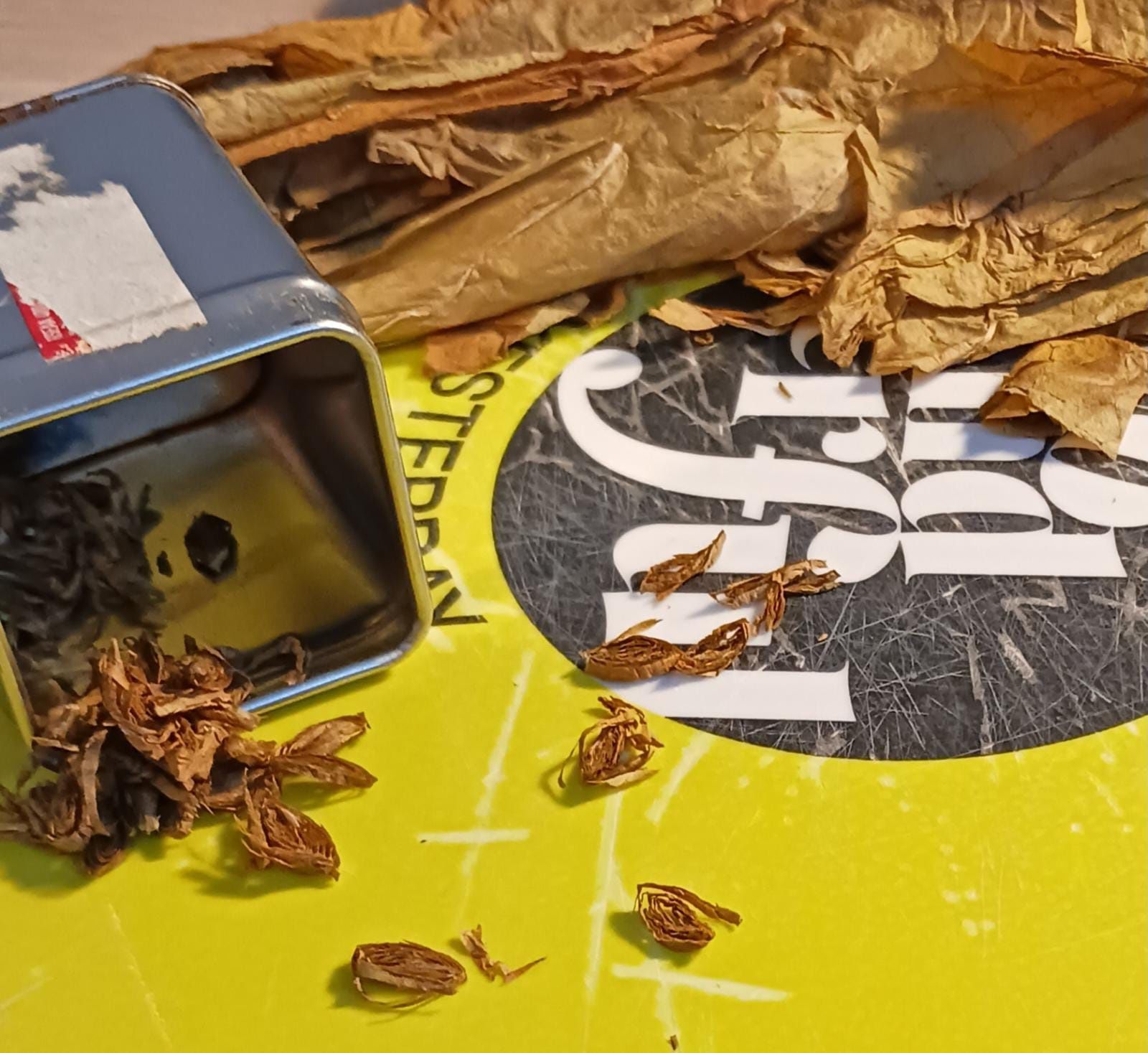 Pack de 1000 sementes de tabaco Virginia
