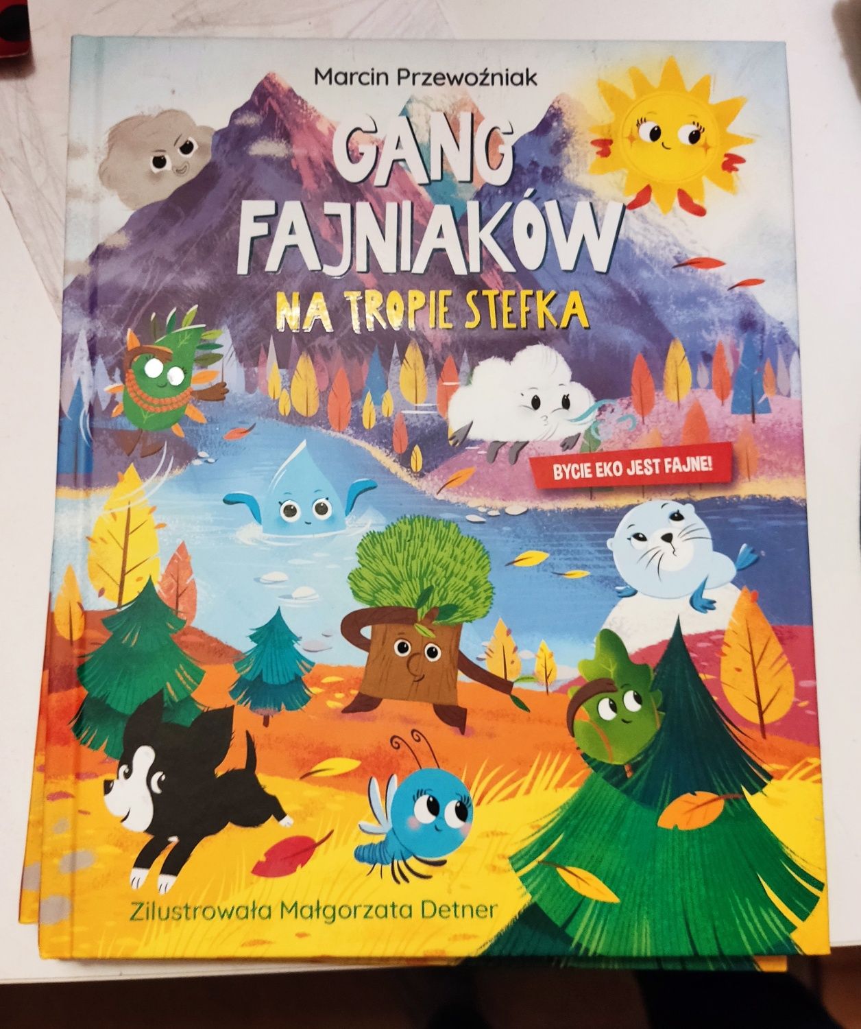 Książka gang Fajniaków na tropie Stefka