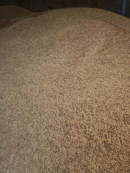 Sprzedam Owies i Grykę