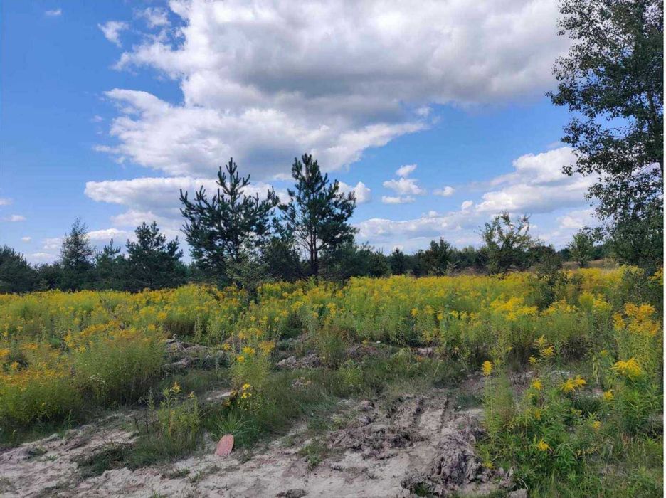 Продаж земельної ділянки, площею 1,0600 га,  Житомирська обл.