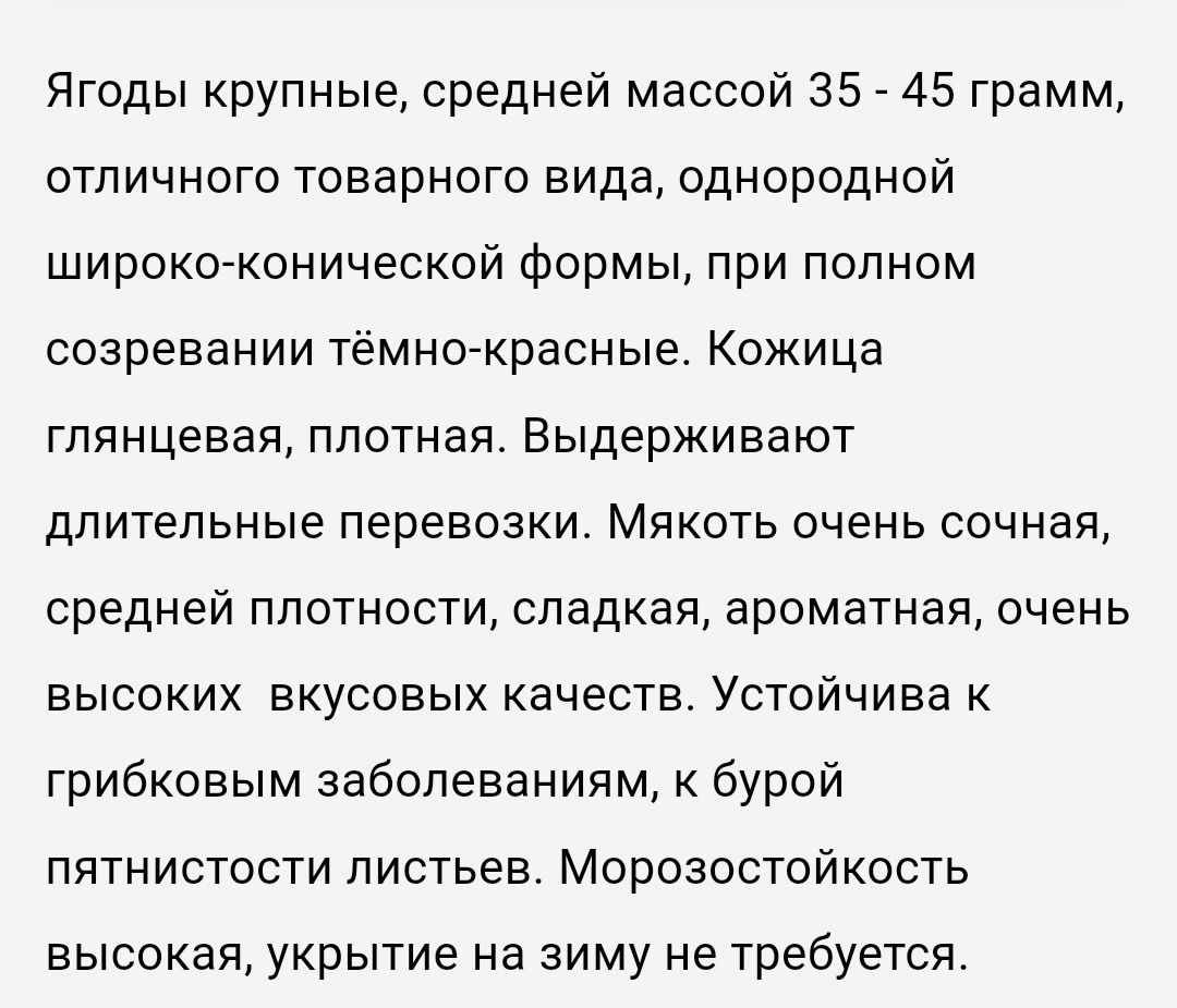 Ранняя клубника Брилла, итальянский сорт. Цена за 75 шт.
