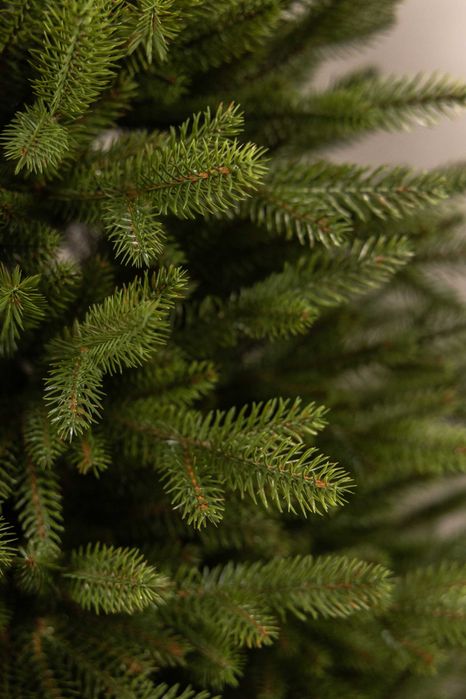 Ялинка Лита Володарка Лісу