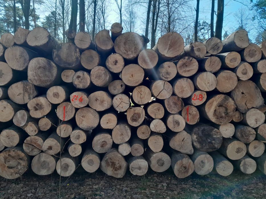 TANIE Drewno kominkowe BUK opałowe bukowe z dowozem