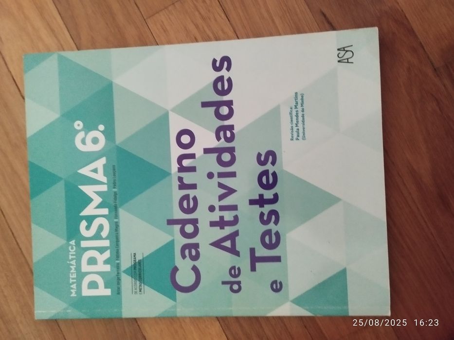 Cadernos de atividades e MANUAIS  Matemática 6° ano