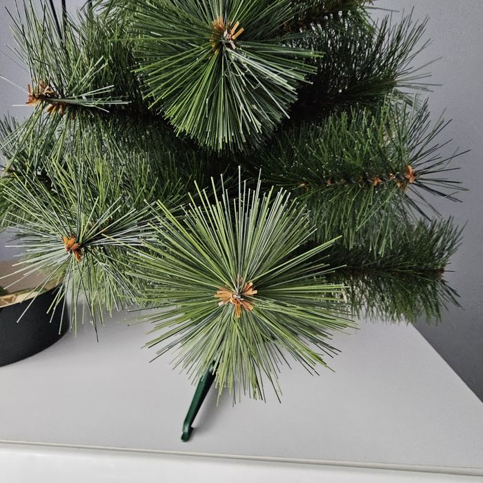 Choinka gęsta mała