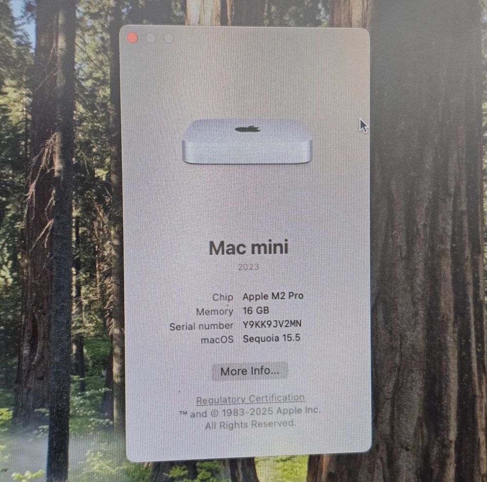 Apple Mac Mini M2 Pro, 16/512GB, Neverlock