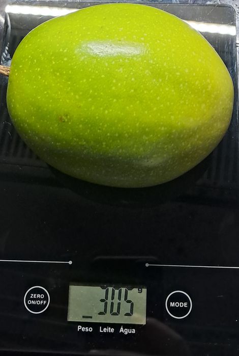 10 sementes de maracujá amarelo