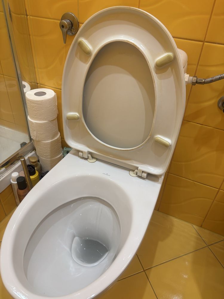 Sedes wraz ze spluczka cersanit