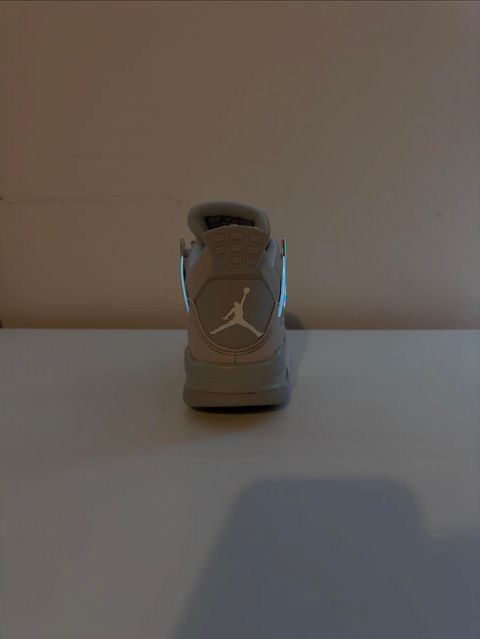 Jordan 4 Frozen Moments