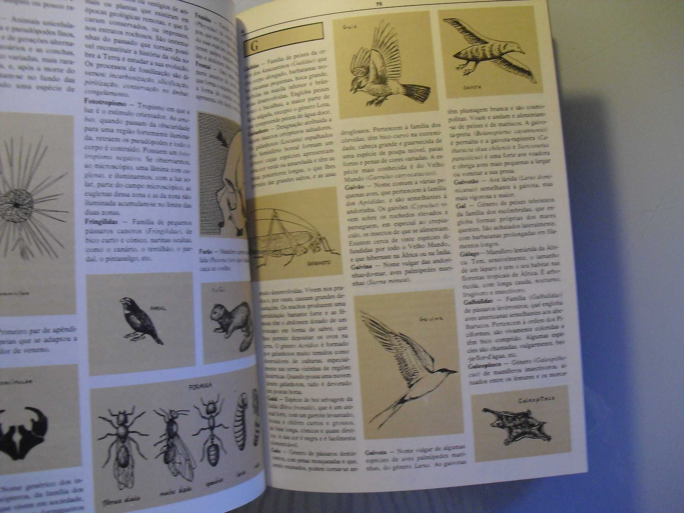 Vários;Dicionário de Zoologia Ilustrado