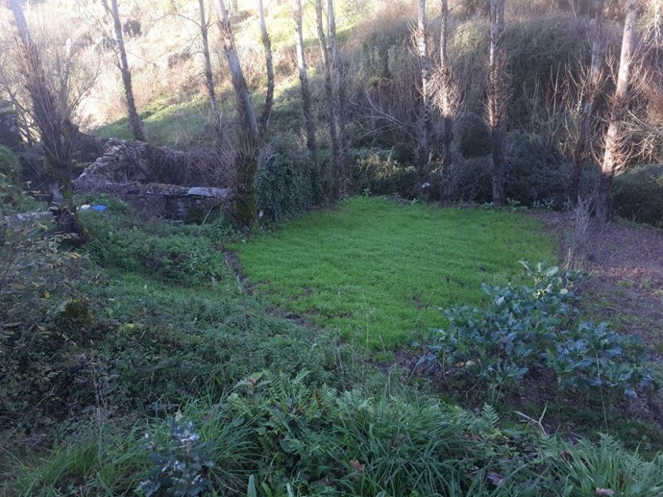 Quinta em Travanca, moinho azenha em ruínas, ribeiro com água corredia