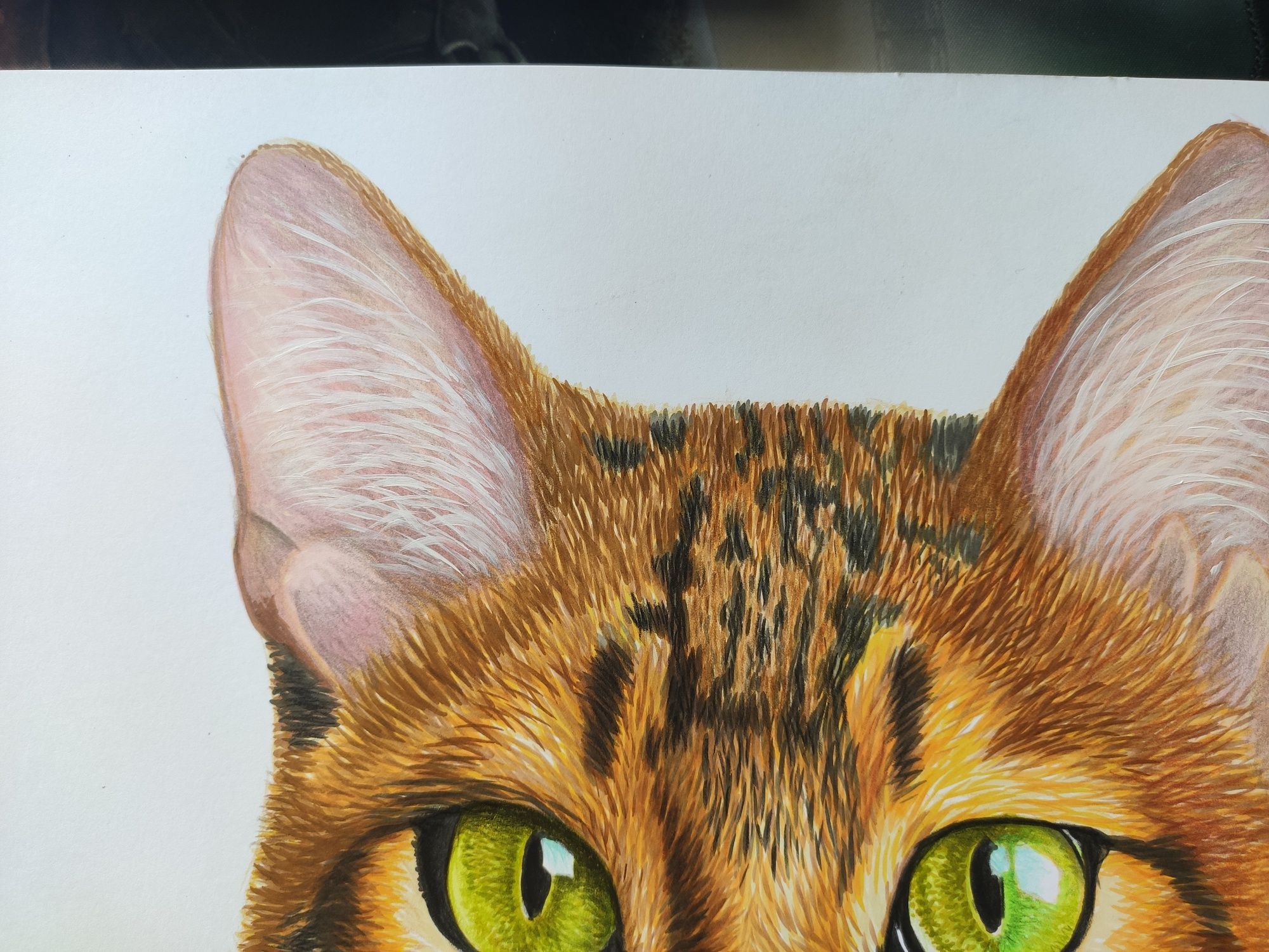 Картина маркерами - бенгальский кот (формат а3)