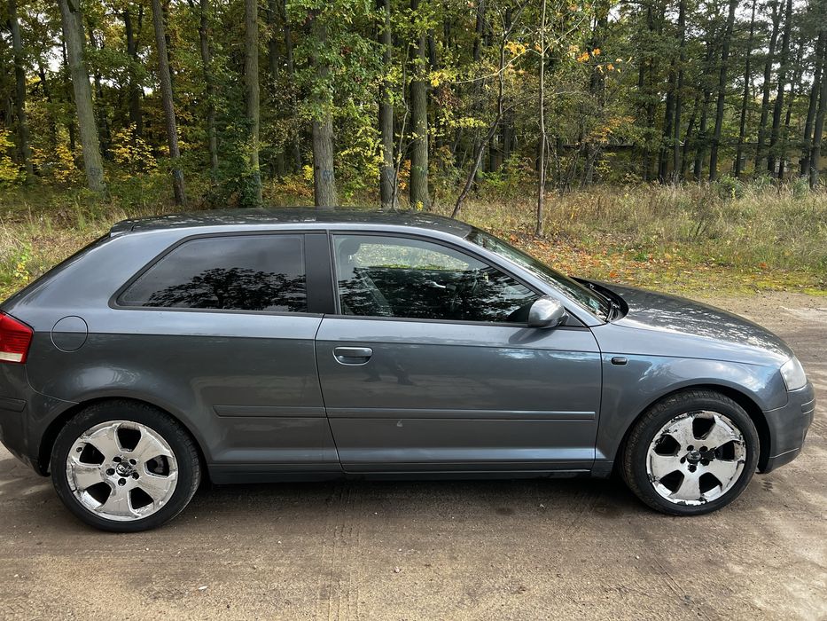 Audi a3 8p 1.9tdi 105PS