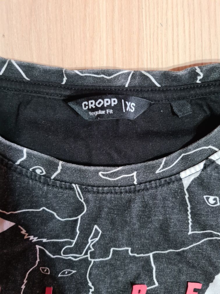 Koszulka męska Cropp