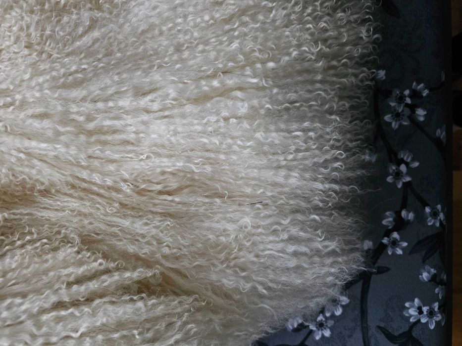 Futerko jasnokremowe lama