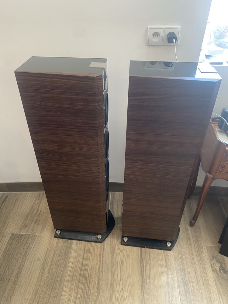 Focal chorus 826v noyer
