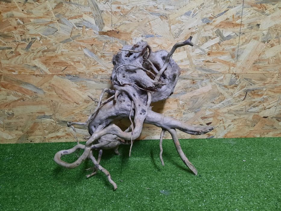 Korzeń do akwarium Red Moore Wood nr 813 o wymiarach 44/28/27