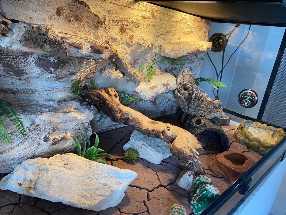 Terrarium dla gekona Repti Zoo z wyposażeniem