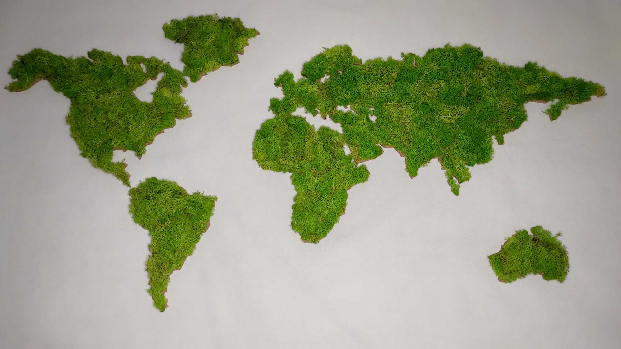 Drewniana mapa świata Kontynenty Mech chrobotek 120x60