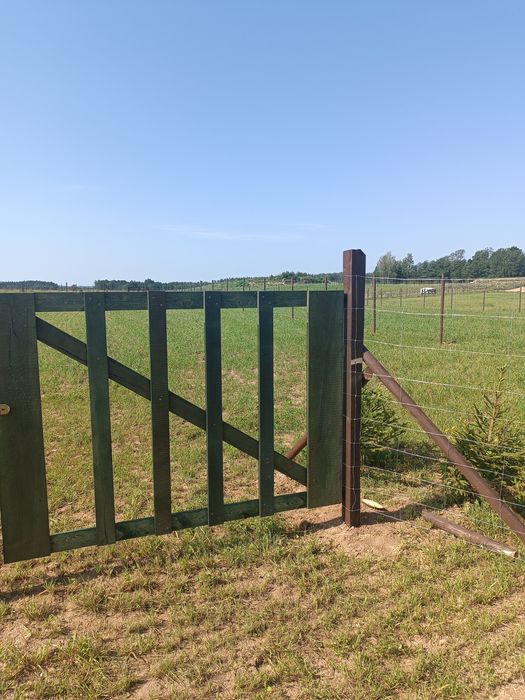 Gotowa działka rekreacyjna na Mazurach - tylko 34 tys. zł