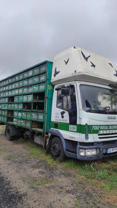 Kabina to transportu Gołebi* Gołebiowóz*żywiec*