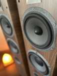 Aukcja charytatywna Focal Chorus 716 kolumny stereo Orzech Q21