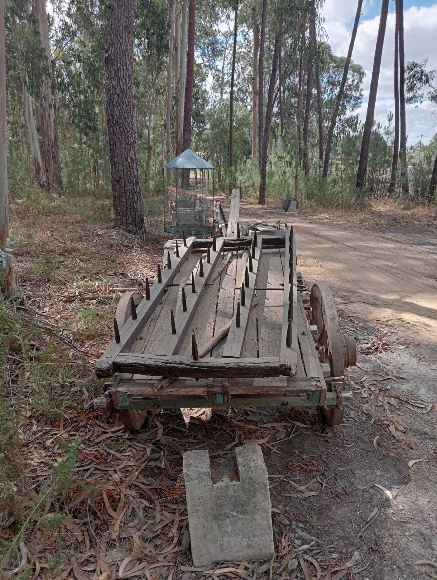 Carro de Burro e arados