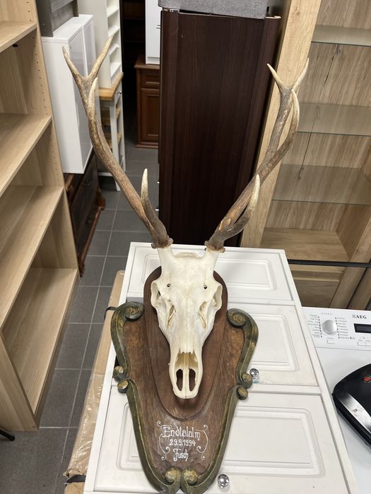 Poroże - możliwy transport