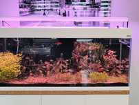 Akwarium Aquael 240L opti set full opcja Chihiros WRGB II