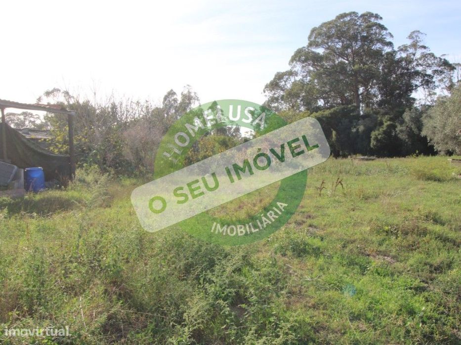 Terreno com três mil e setecentos metros quadrados no Paião.