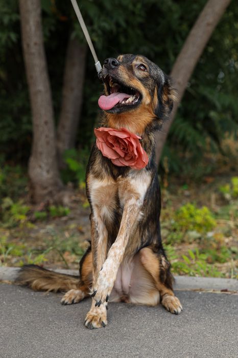 Мята в поисках мам/пап и самой лучшей семьи