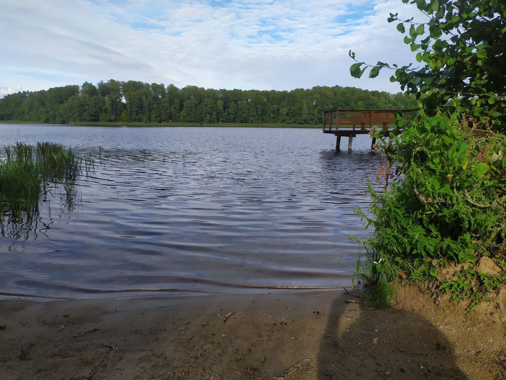 Domek letniskowy, jezioro, las,pierwsza linia brzegowa