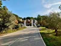 Terreno rústico com 3.300m2 junto à Casa Telhada - Cernache