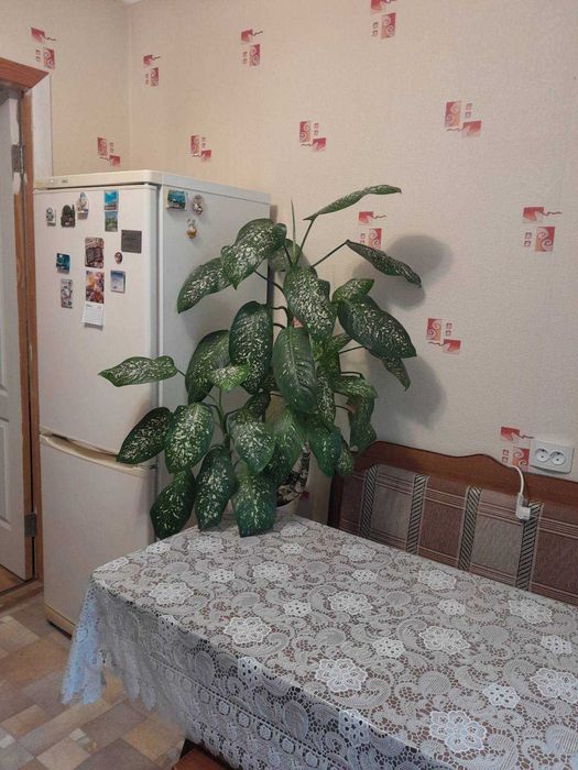 Сдам двухкомнатную на Чаривной