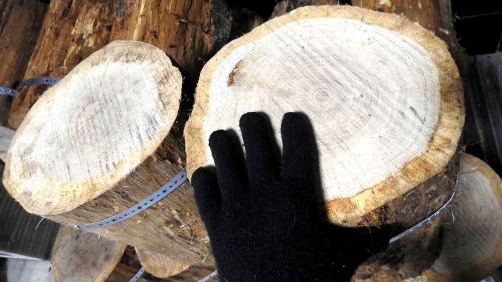 Pniak kłódka pieniek do rąbania rozłupywania drewna