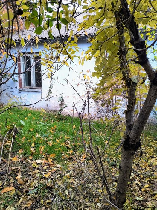 Будинок у Вигоді