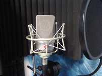 Mikrofon studyjny Neumann TLM 103
