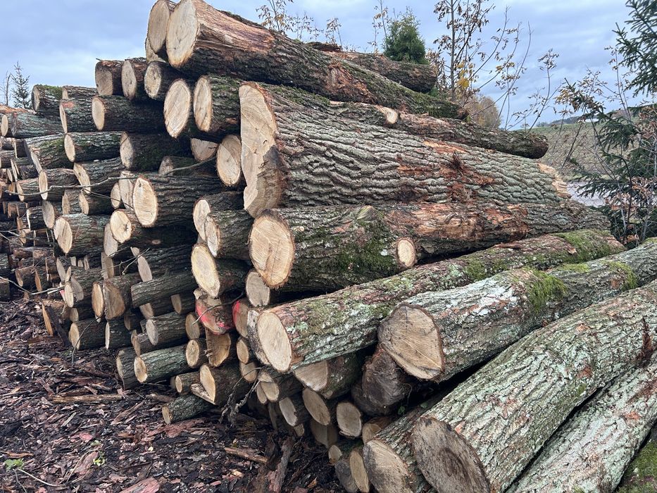 Dąb drewno opałowe S2A