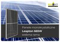 Panel/ moduł fotowoltaiczny Leapton 665W fotowoltaika (BRUTTO)