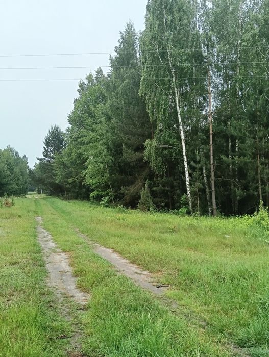 Działka rekreacyjna 1,26 ha.