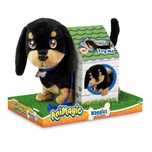 Animagic Waggles etui kartonowe,313x254x172 mm
