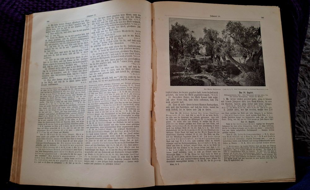Nowy Testament Marcin Luter Biblia ok 1900 stara antyk