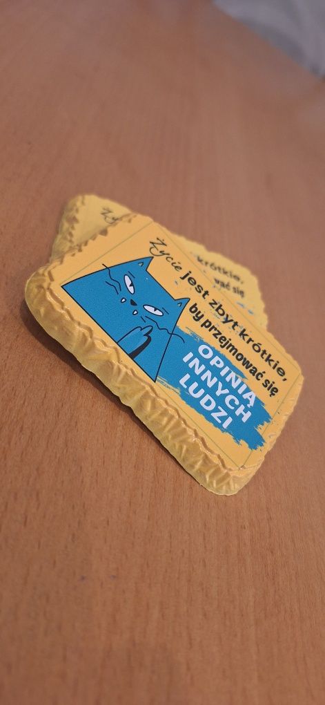 Magnes na lodówkę