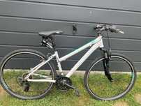 Rower Kross Evado 1