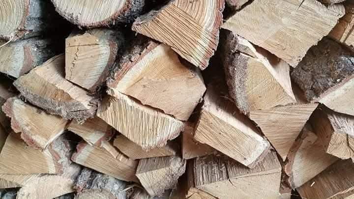 Drewno sezonowane i tegoroczne