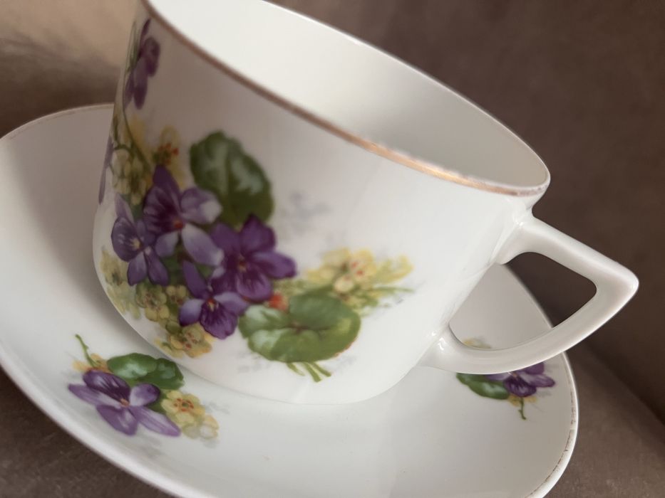 Ćmielów Lwów Fiołki 918