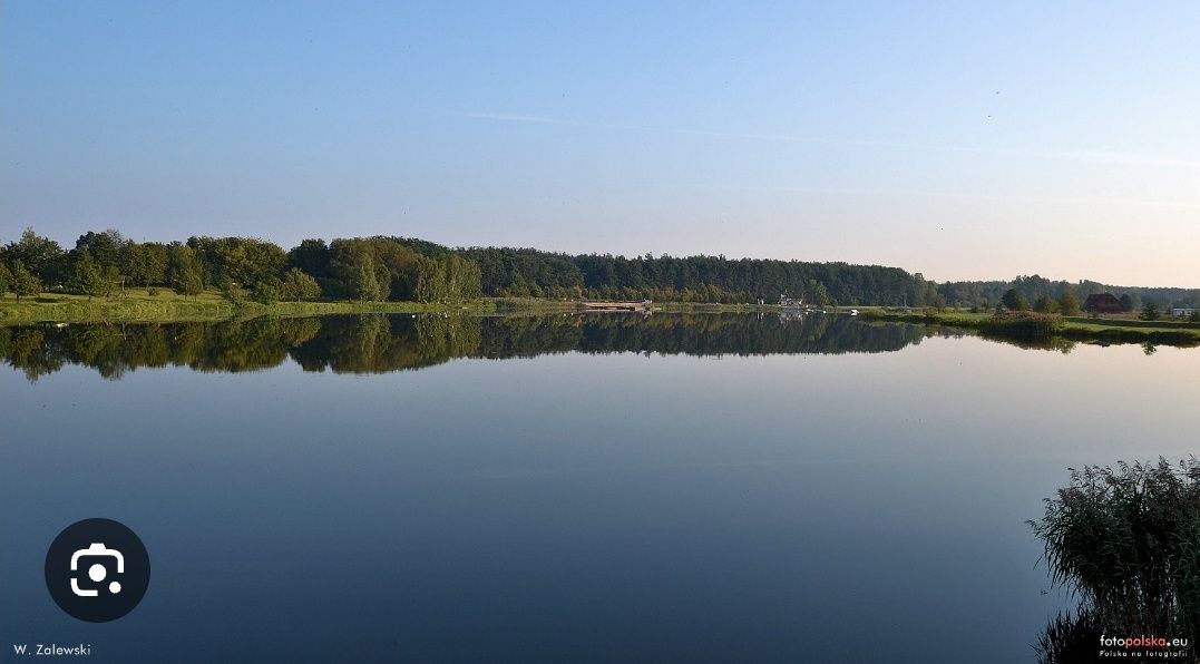 Dziatka 4200m² ul.ciechanowska Nowe Miasto. Przy działce woda prąd las