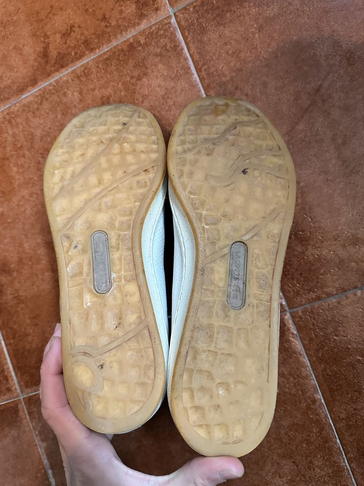 sapatilhas lacoste 40,5